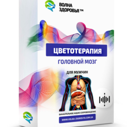 Цветотерапия   - Головной мозг. Для мужчин