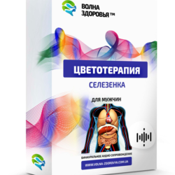 Цветотерапия  - Селезенка. Для мужчин