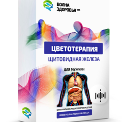 Цветотерапия - Щитовидная железа. Для мужчин