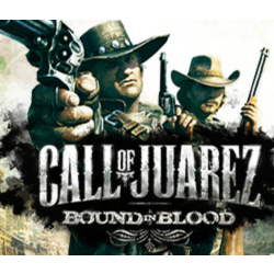 Call of Juarez: Bound in Blood (Steam Key/Region Free)