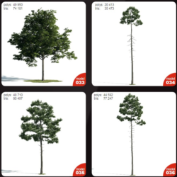 Evermotion Archmodels vol.171