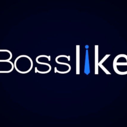 Bosslike купон Босслайк 100.000 баллов