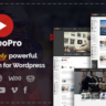 VideoPro [2.3.8.1] - Русификация премиум темы