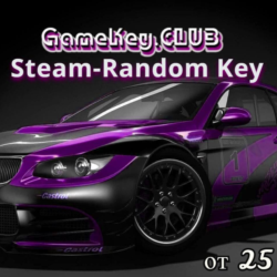 Идеальный Steam-Random Ключ от 25 RUB