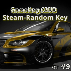 Идеальный Steam-Random Ключ от 49 RUB