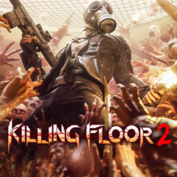 Killing Floor 2 (Steam | Key | Region Free)
