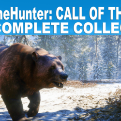 theHunter: Call of the Wild   ВСЕ ДОПЫ [STEAM] аккаунт