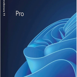 👑 Windows 11/10 Pro Retail ESD OEM Телефон