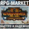 TOTAL WAR WARHAMMER 2 II THE WARDEN & THE PAUNCH КЛЮЧ