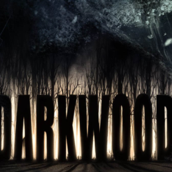 Darkwood (STEAM) Аккаунт 🌍Region Free