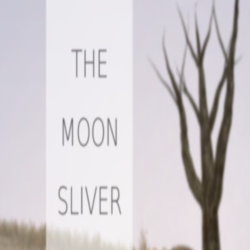 The Moon Sliver (Steam key / Region Free)