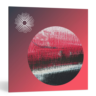 iZotope Trash 2