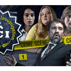 PCI Public Crime Investigation 💎 АВТОДОСТАВКА STEAM GLOBAL МГНОВЕННО ЛИЦЕНЗИЯ