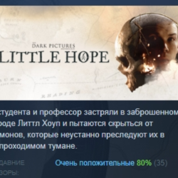 The Dark Pictures Anthology: Little Hope АВТОДОСТАВКА STEAM GLOBAL МГНОВЕННО ЛИЦЕНЗИЯ