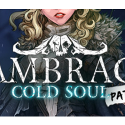 Vambrace: Cold Soul 💎 АВТОДОСТАВКА STEAM GLOBAL МГНОВЕННО ЛИЦЕНЗИЯ