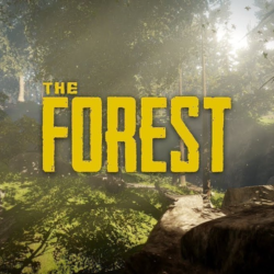 The Forest  ОНЛАЙН (БЕЗ АКТИВАТОРА / STEAM  АККАУНТ)