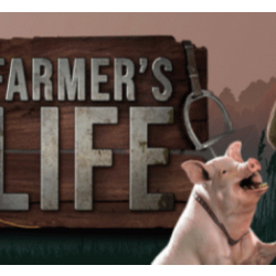 Farmer's Life 💎 АВТОДОСТАВКА STEAM GLOBAL МГНОВЕННО ЛИЦЕНЗИЯ