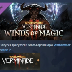 Warhammer: Vermintide 2 - Winds of Magic DLC AUTODELIVERY STEAM РОССИЯ