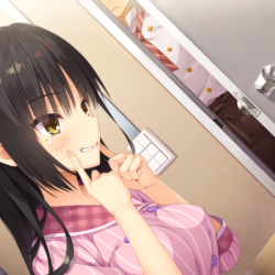 Cafe Stella (БЕЗ АКТИВАТОРА / STEAM  ОФФЛАЙН)