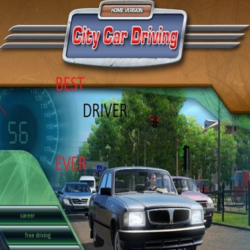 City Car Driving (STEAM АККАУНТ /ГАРАНТИЯ)