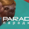Paradigm | Epic Games | GLOBAL   АВТОВЫДАЧА 24/7