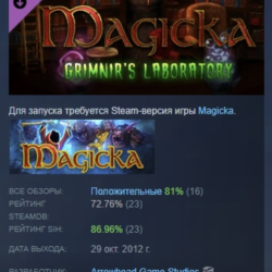Magicka: Grimnir's Laboratory DLC STEAM GIFT РОССИЯ