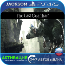 The Last Guardian (PS4/PS5) RUS | Активация✅