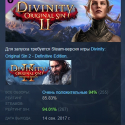 Divinity Original Sin 2 - Divine Ascension АВТОДОСТАВКА STEAM РОССИЯ
