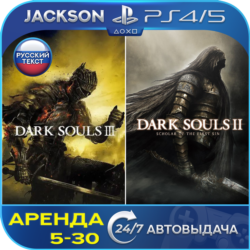 Dark Souls 3   Dark Souls 2 (PS4/PS5) RUS | Аренда🔰