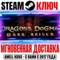 Dragon's Dogma: Dark Arisen Steam Ключ РФ Мир  Бонус