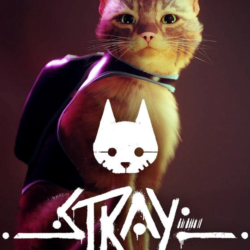 Stray (Аренда аккаунта Steam) Steam Deck, VK Play