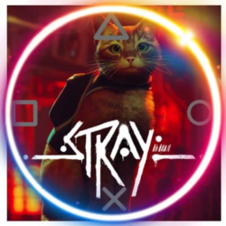 💠 Stray (PS4/PS5/RU) П3 - Активация