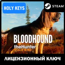 🔥theHunter Call of the Wild - Bloodhound Steam Ключ 🎁