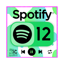 SPOTIFY PREMIUM   1 3  МЕСЯЦЕВ НА ЛЮБОЙ АККАУНТ   СПОТИФАЙ ПРЕМИУМ