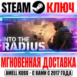 ⚫Into the Radius VR Steam Ключ РФ Мир  Бонус