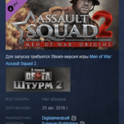 Assault Squad 2: Men of War Origins DLC АВТОДОСТАВКА STEAM РОССИЯ
