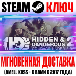⚫Hidden & Dangerous 2: Courage Under Fire Steam Ключ