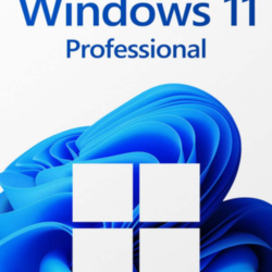 Microsoft Windows 11 Retail Professional Key (Clean Install Only - No Upgrade) GLOBAL
