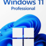 Microsoft Windows 11 Retail Professional Key (Clean Install Only - No Upgrade) GLOBAL