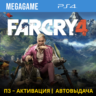 FAR CRY 4 (PS4/RUS) П3-Активация