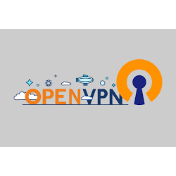 файл активации профиля OPEN VPN со скоростью 1гб/с