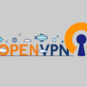 файл активации профиля OPEN VPN со скоростью 1гб/с