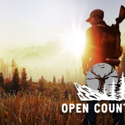 💎Open Country XBOX ONE X|S КЛЮЧ🔑