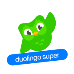 🦉Duolingo Super на 12 месяцев | На Ваш аккаунт