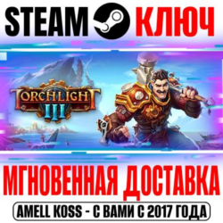 ⚫Torchlight III Steam Ключ РФ Мир  Бонус