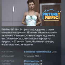 Picture Perfect АВТОДОСТАВКА STEAM GLOBAL МГНОВЕННО ЛИЦЕНЗИЯ
