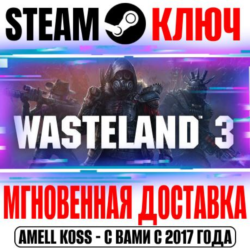 Wasteland 3 | Colorado Collection ( 3 DLC) Steam Ключ