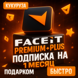 CS2 FACEIT PLUS &amp; PREMIUM ПОДПИСКА 1-12 МЕСЯЦЕВ - БЕЗ ВХОДА