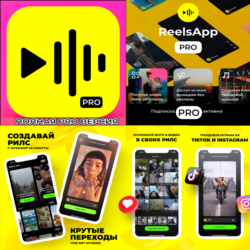 ReelsApp Видео Тренды PRO iPhone ios AppStore iPad