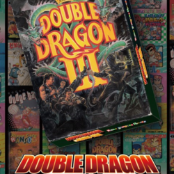 ✅ DOUBLE DRAGON Ⅲ: The Sacred Stones Xbox активация